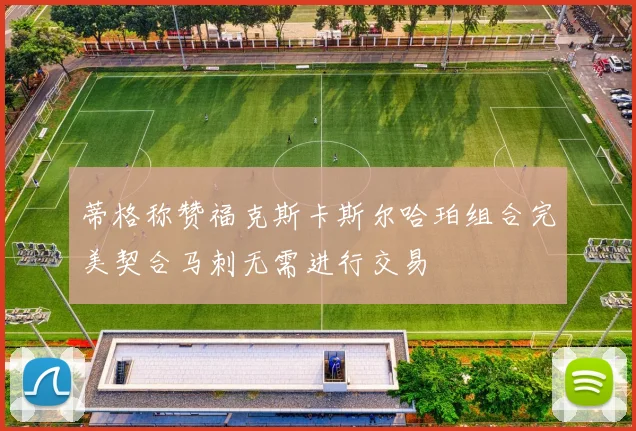 蒂格称赞福克斯卡斯尔哈珀组合完美契合马刺无需进行交易