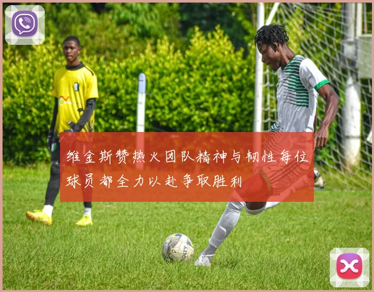 维金斯赞热火团队精神与韧性每位球员都全力以赴争取胜利