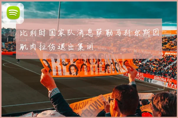 比利时国家队消息萨勒马科尔斯因肌肉拉伤退出集训